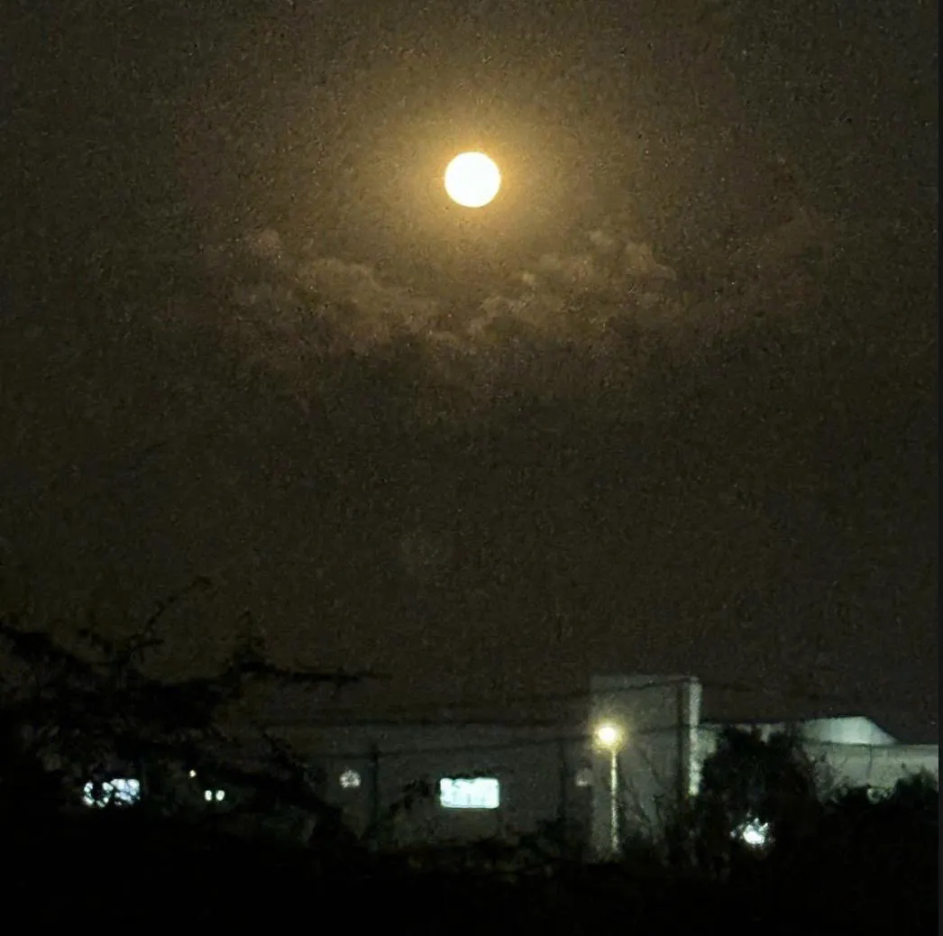 Truyện chữ đồ nhi, đừng lo vi sư ở đây